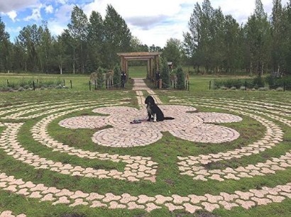 Labyrinth park dog sitting